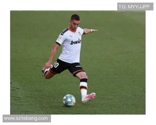 费兰托雷斯的崛起之路:从青训天才到足球明星的奋斗历程 费兰托雷斯的崛起之路:从青训天才到足球明星的奋斗历程