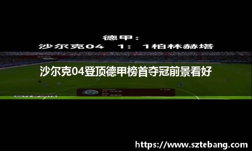 VSport网址
