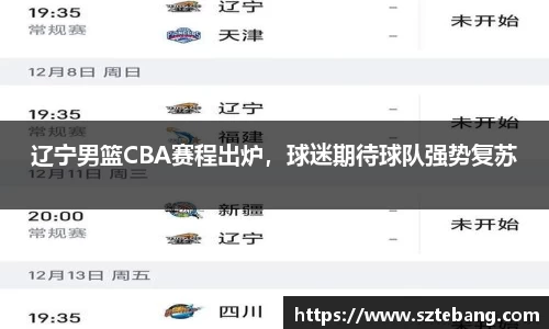VSport网址
